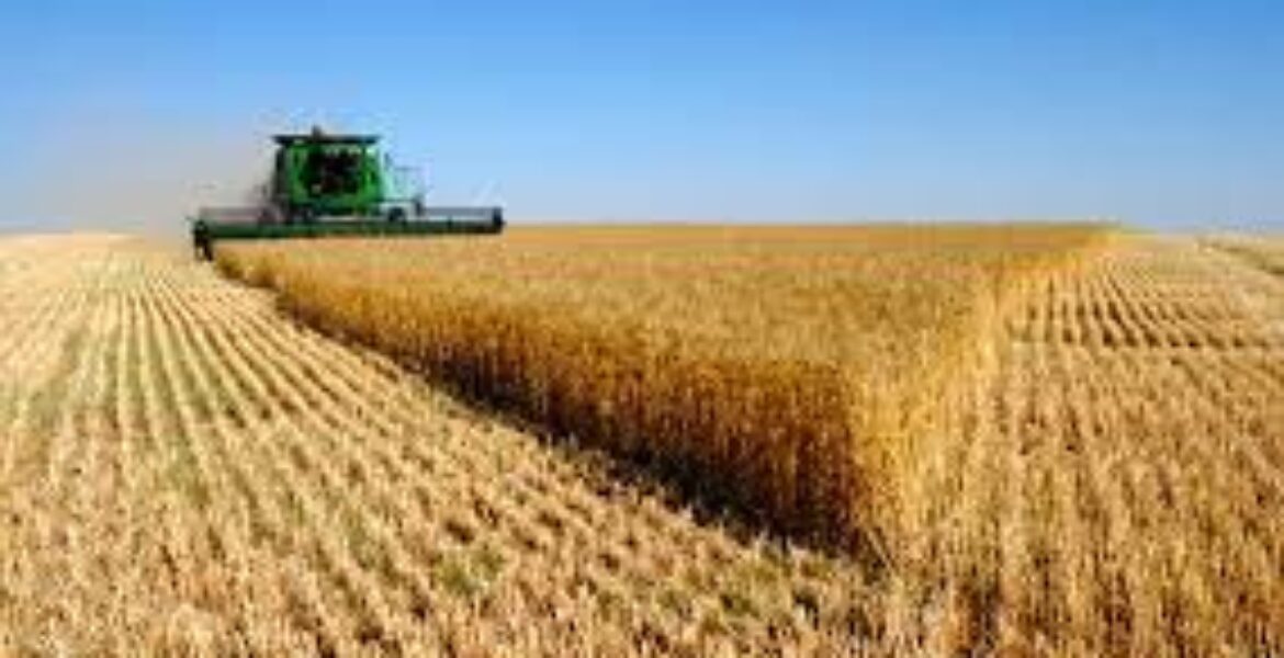 Казахстанские фермеры опасаются дефицита зерна