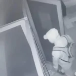 Алматыда банк тонамақ болған ер адам видеоға түсіп қалды