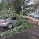 Павлодар облысындағы дауыл: зардап шеккендер саны 16-ға жетті